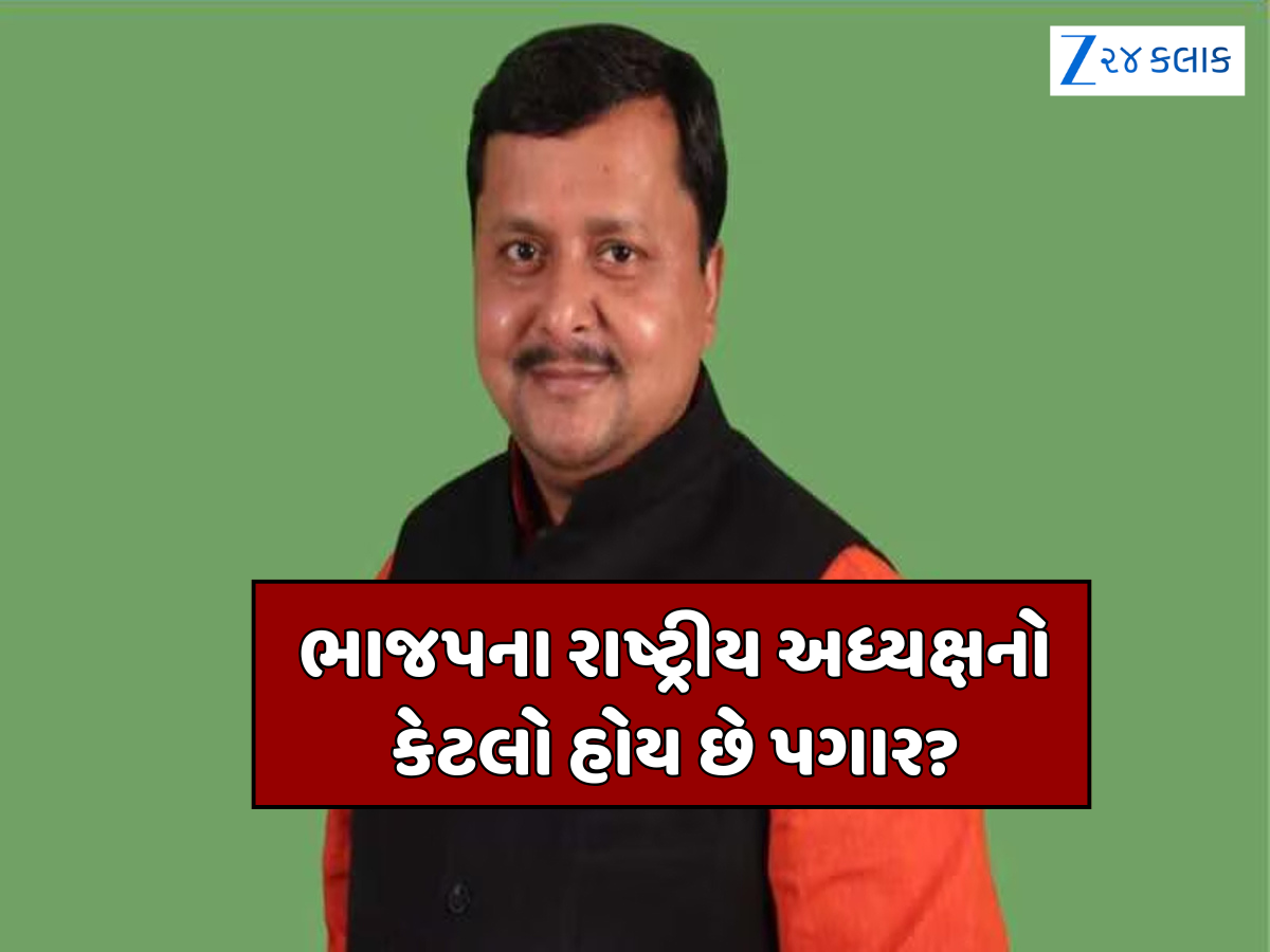 શું રાષ્ટ્રીય અધ્યક્ષને અલગથી પગાર ચૂકવે છે ભાજપ, જાણો નીતિન નબીનને શું-શું મળશે સુવિધાઓ? શું રાષ્ટ્રીય અધ્યક્ષને અલગથી પગાર ચૂકવે છે ભાજપ, જાણો નીતિન નબીનને શું-શું મળશે સુવિધાઓ?