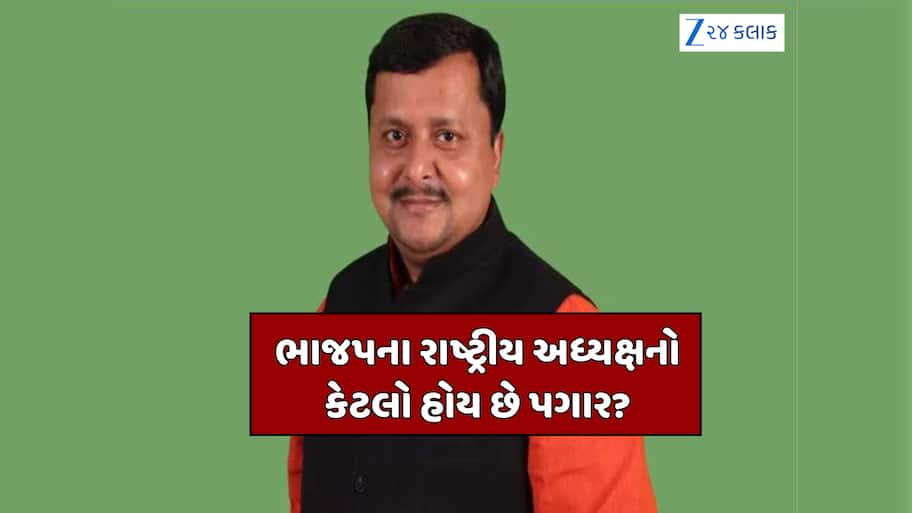 શું રાષ્ટ્રીય અધ્યક્ષને અલગથી પગાર ચૂકવે છે ભાજપ, જાણો નીતિન નબીનને શું-શું મળશે સુવિધાઓ?