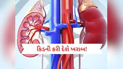 Kidney Damage: કિડનીના દુશ્મન છે આ પાંચ ખાદ્ય પદાર્થો, પહોંચાડે છે ભયંકર નુકસાન