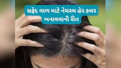 નેચરલ રીતે સફેદ વાળને મૂળમાંથી કાળા કરવા આ રીતે ઘરે તૈયાર કરો હર્બલ હેર કલર