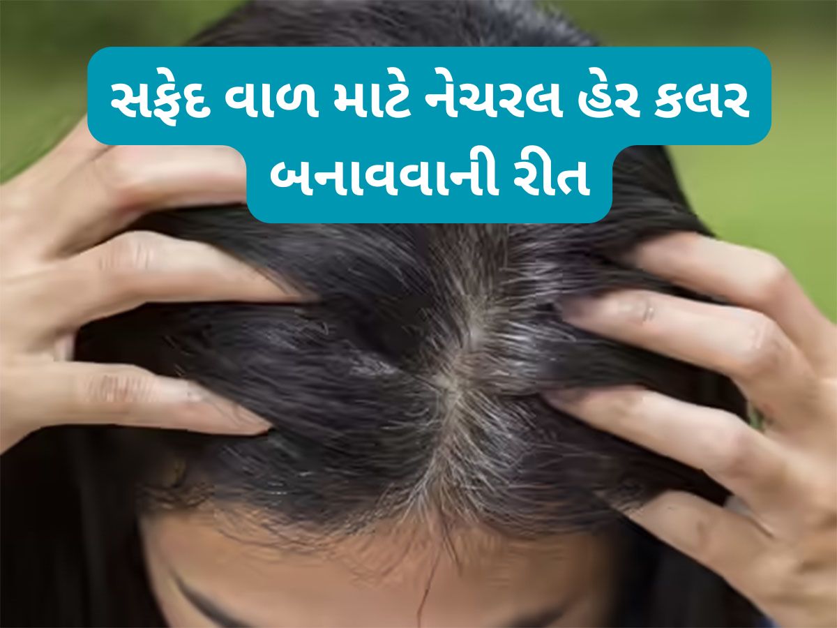 White Hair Remedy: નેચરલ રીતે સફેદ વાળને મૂળમાંથી કાળા કરવા આ રીતે ઘરે તૈયાર કરો હર્બલ હેર કલર White Hair Remedy: નેચરલ રીતે સફેદ વાળને મૂળમાંથી કાળા કરવા આ રીતે ઘરે તૈયાર કરો હર્બલ હેર કલર