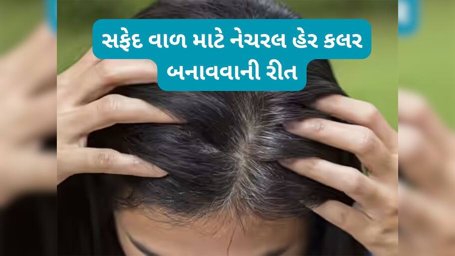 White Hair Remedy: નેચરલ રીતે સફેદ વાળને મૂળમાંથી કાળા કરવા આ રીતે ઘરે તૈયાર કરો હર્બલ હેર કલર