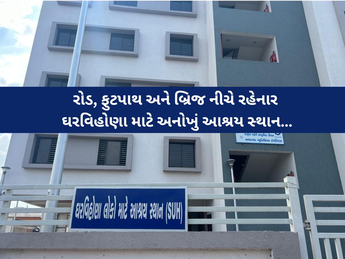 અમદાવાદમાં ઘરવિહોણા લોકોની મદદ કરવા AMCએ ઉપાડ્યું બીડું, ખાસ ડ્રાઈવ કરી 8,431ને આપ્યો આશરો! અમદાવાદમાં ઘરવિહોણા લોકોની મદદ કરવા AMCએ ઉપાડ્યું બીડું, ખાસ ડ્રાઈવ કરી 8,431ને આપ્યો આશરો!
