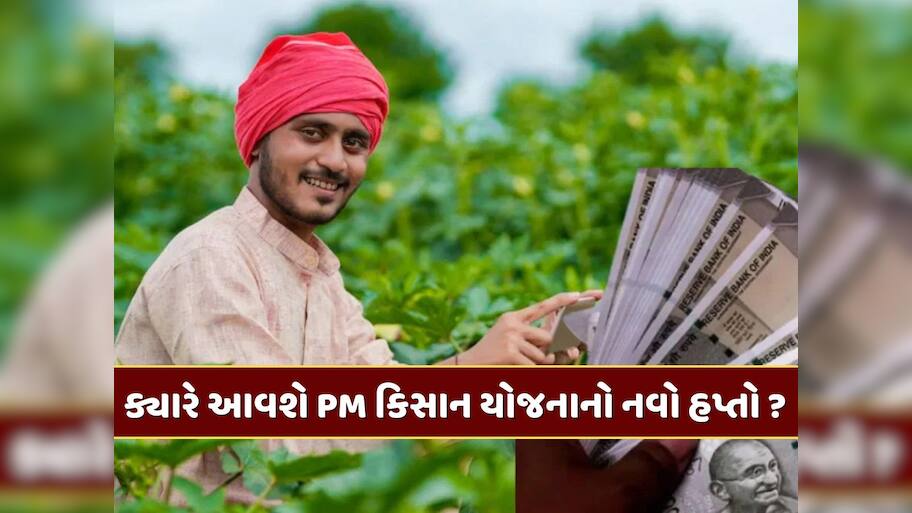 PM Kisan Yojana : નવા વર્ષમાં ક્યારે આવશે પીએમ કિસાન યોજનાનો નવો હપ્તો ? જાણો સંપૂર્ણ માહિતી