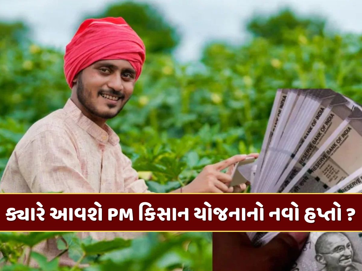 PM Kisan Yojana : નવા વર્ષમાં ક્યારે આવશે પીએમ કિસાન યોજનાનો નવો હપ્તો ? જાણો સંપૂર્ણ માહિતી PM Kisan Yojana : નવા વર્ષમાં ક્યારે આવશે પીએમ કિસાન યોજનાનો નવો હપ્તો ? જાણો સંપૂર્ણ માહિતી