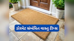 ઘરનું ડોરમેટ પણ બદલી દે છે એનર્જીનો ફ્લો, ખરીદતી વખતે રંગ અને આકારનું ધ્યાન રાખવું