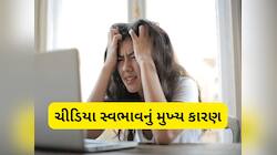 આ વિટામિનની ખામીના કારણે વ્યક્તિનો સ્વભાવ થઈ જાય ચીડિયો, શરીરમાં આવી જાય નબળાઈ