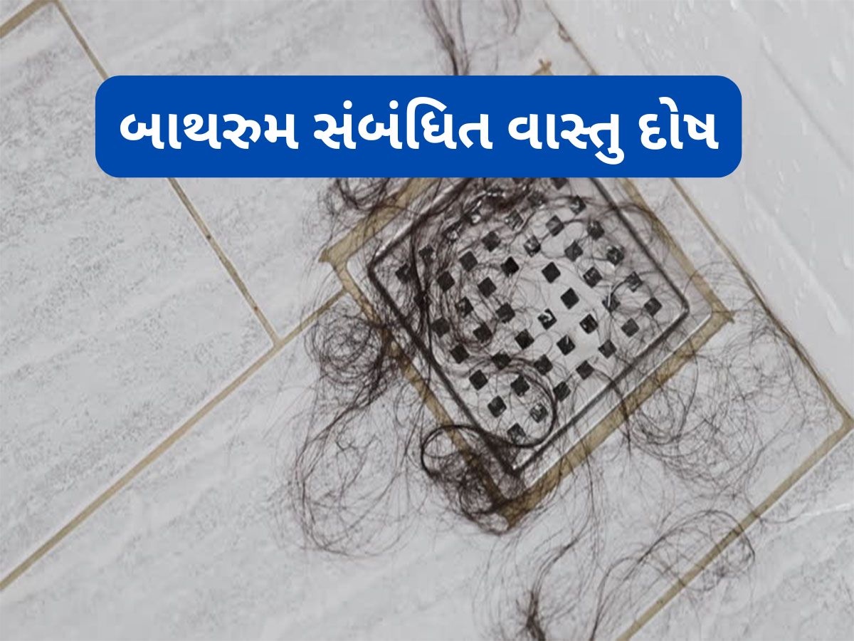 Vastu Tips: બાથરુમમાં ક્યારેય ન રાખવી આ વસ્તુઓ, રાખવાથી વધવા લાગે છે આર્થિક તંગી, રાખી હોય તો તુરંત કાઢજો Vastu Tips: બાથરુમમાં ક્યારેય ન રાખવી આ વસ્તુઓ, રાખવાથી વધવા લાગે છે આર્થિક તંગી, રાખી હોય તો તુરંત કાઢજો