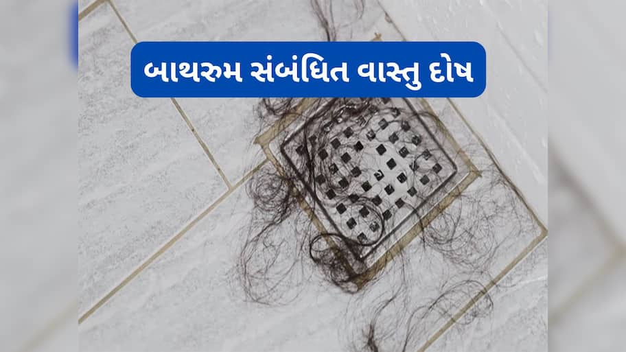 Vastu Tips: બાથરુમમાં ક્યારેય ન રાખવી આ વસ્તુઓ, રાખવાથી વધવા લાગે છે આર્થિક તંગી, રાખી હોય તો તુરંત કાઢજો