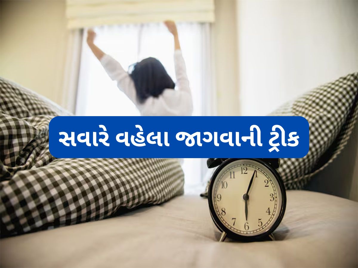 Morning Tips: અલાર્મ વિના પણ રોજ સવારે જાગી શકશો, રાત્રે સૂતા પહેલા કરજો આ કામ Morning Tips: અલાર્મ વિના પણ રોજ સવારે જાગી શકશો, રાત્રે સૂતા પહેલા કરજો આ કામ