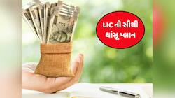 LICનો જકાસ પ્લાન, બસ 4 વર્ષ સુધી પ્રીમિયમ ભરો...પછી તમને મળશે 1 કરોડ રૂપિયા