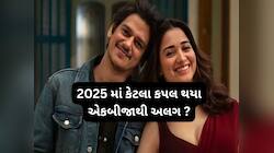  ધનશ્રી-ચહલથી લઈ તમન્ના ભાટિયા-વિજય વર્મા સુધી 2025 માં અલગ થયા આટલા કપલ