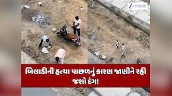 આ તે વળી કેવી ક્રૂરતા? યુવકે ગુસ્સામાં પાલતુ બિલાડીને પથ્થર મારી પતાવી દીધી
