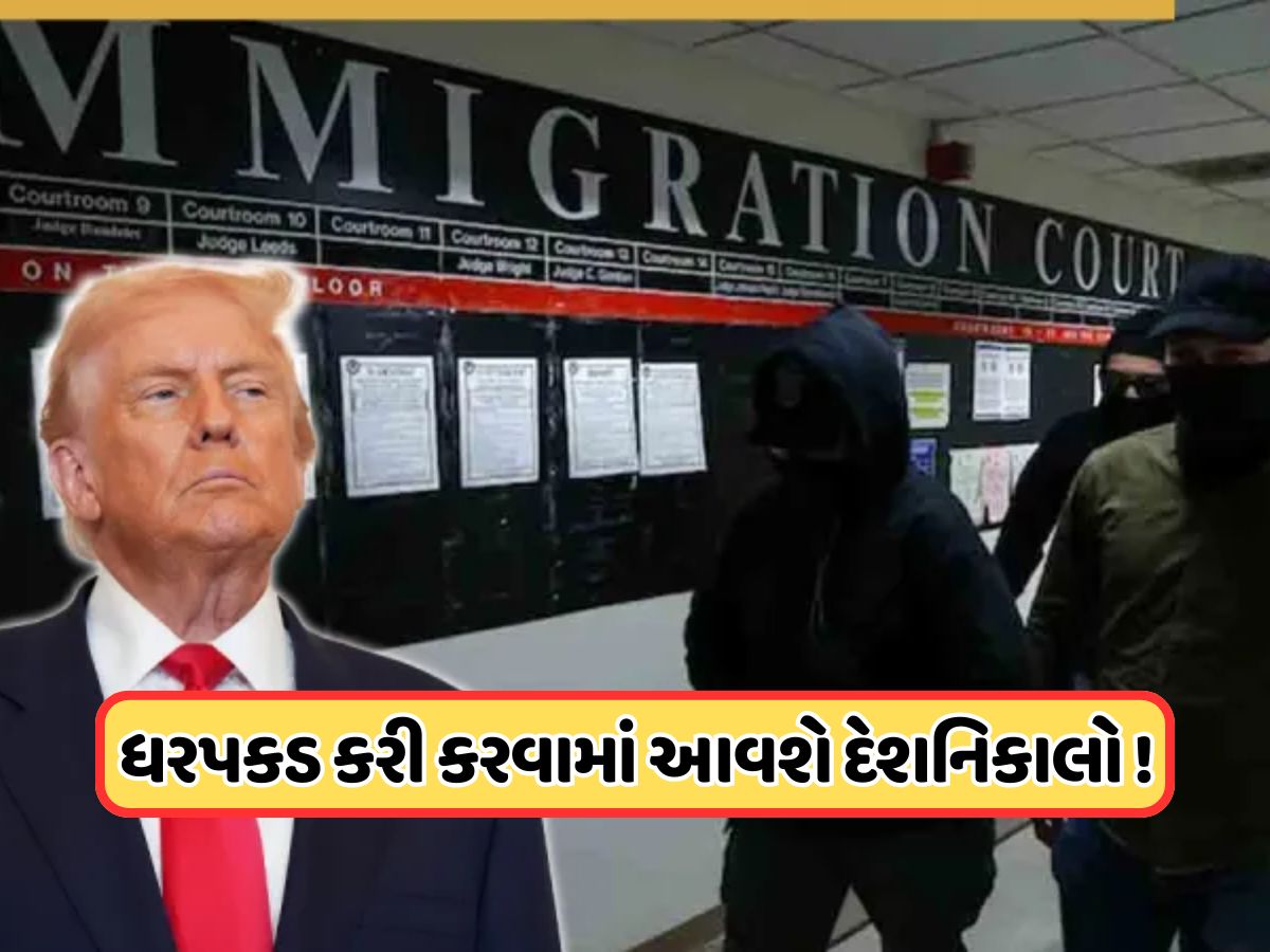 ગેરકાયદેસર રીતે અમેરિકામાં રહેતા લોકો સાવધાન ! ટ્રમ્પ સરકાર લઈને આવી ક્રિસમસ ઓફર, જાણો ગેરકાયદેસર રીતે અમેરિકામાં રહેતા લોકો સાવધાન ! ટ્રમ્પ સરકાર લઈને આવી ક્રિસમસ ઓફર, જાણો