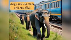 હવે રેલની પટરીઓ પર નહિ થાય પ્રાણીઓના મોત! રેલવે AI ની મદદથી રોકશે અકસ્માત 