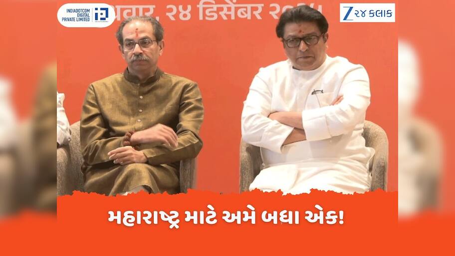 26+11+11 ના ફોર્મ્યૂલાનો ભાજપ કેવી રીતે તોડ કાઢશે? BMC ચૂંટણી માટે ઠાકરે બ્રધર્સે તો પ્લાન પણ બનાવી લીધો