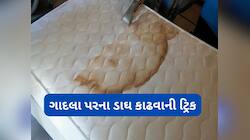 ગાદલા પરથી ચા-કોફી સહિત પરસેવાના ડાઘ આ ટ્રીકથી નીકળી જશે, હોટલમાં પણ આ રીતે થાય સફાઈ
