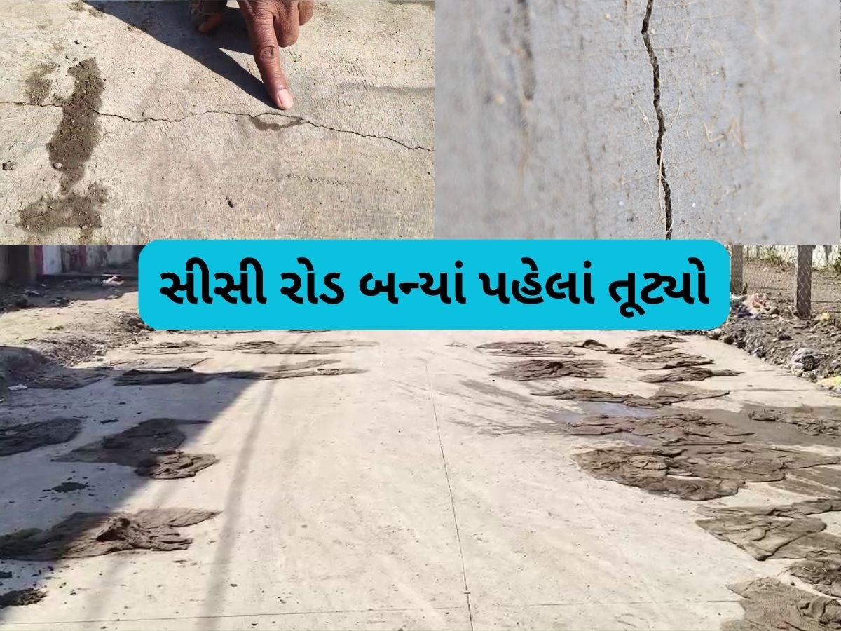 ભ્રષ્ટાચારનો નવો નમૂનો! ધોરાજીમાં ઉદ્ઘાટન પહેલા જ તૂટવા લાગ્યો રોડ, કોણ જવાબદાર? ભ્રષ્ટાચારનો નવો નમૂનો! ધોરાજીમાં ઉદ્ઘાટન પહેલા જ તૂટવા લાગ્યો રોડ, કોણ જવાબદાર?
