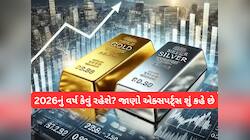 આ વર્ષે ચાંદીએ આપ્યું છપ્પરફાડ 137% રિટર્ન, સોનું પણ ઉછળ્યું, 2026 કેવું રહેશે?