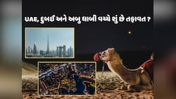 UAE, દુબઈ અને અબુ ધાબી વચ્ચે શું છે તફાવત ? એક ક્લિકમાં દૂર કરો કન્ફ્યુઝન