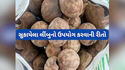 લીંબુ સુકાઈ જાય તો કચરો સમજી ફેંકો નહીં, આ રીતે યુઝ કરી ઘરમાંથી જીવજંતુનો કરો સફાયો