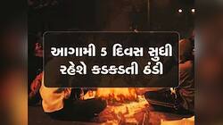 ગુજરાત પર ફરી આફતના એંધાણ! નવા વર્ષની શરૂઆતથી જ કાતિલ ઠંડી બોલાવશે ભુક્કા
