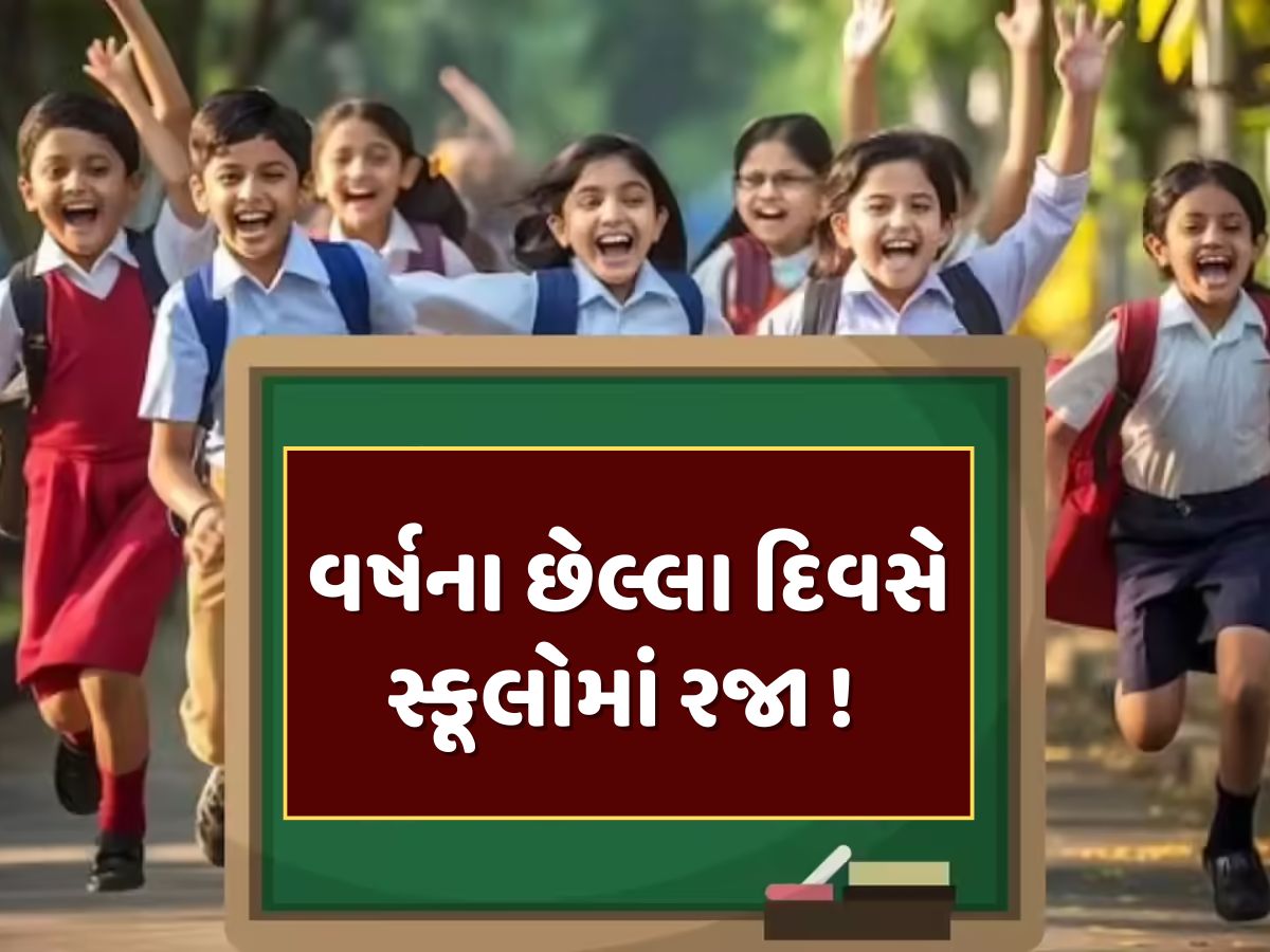 School Holiday : વર્ષના છેલ્લા દિવસે સ્કૂલો બંધ ! જાણો 31 ડિસેમ્બરે કયા રાજ્યોમાં રહેશે રજા School Holiday : વર્ષના છેલ્લા દિવસે સ્કૂલો બંધ ! જાણો 31 ડિસેમ્બરે કયા રાજ્યોમાં રહેશે રજા