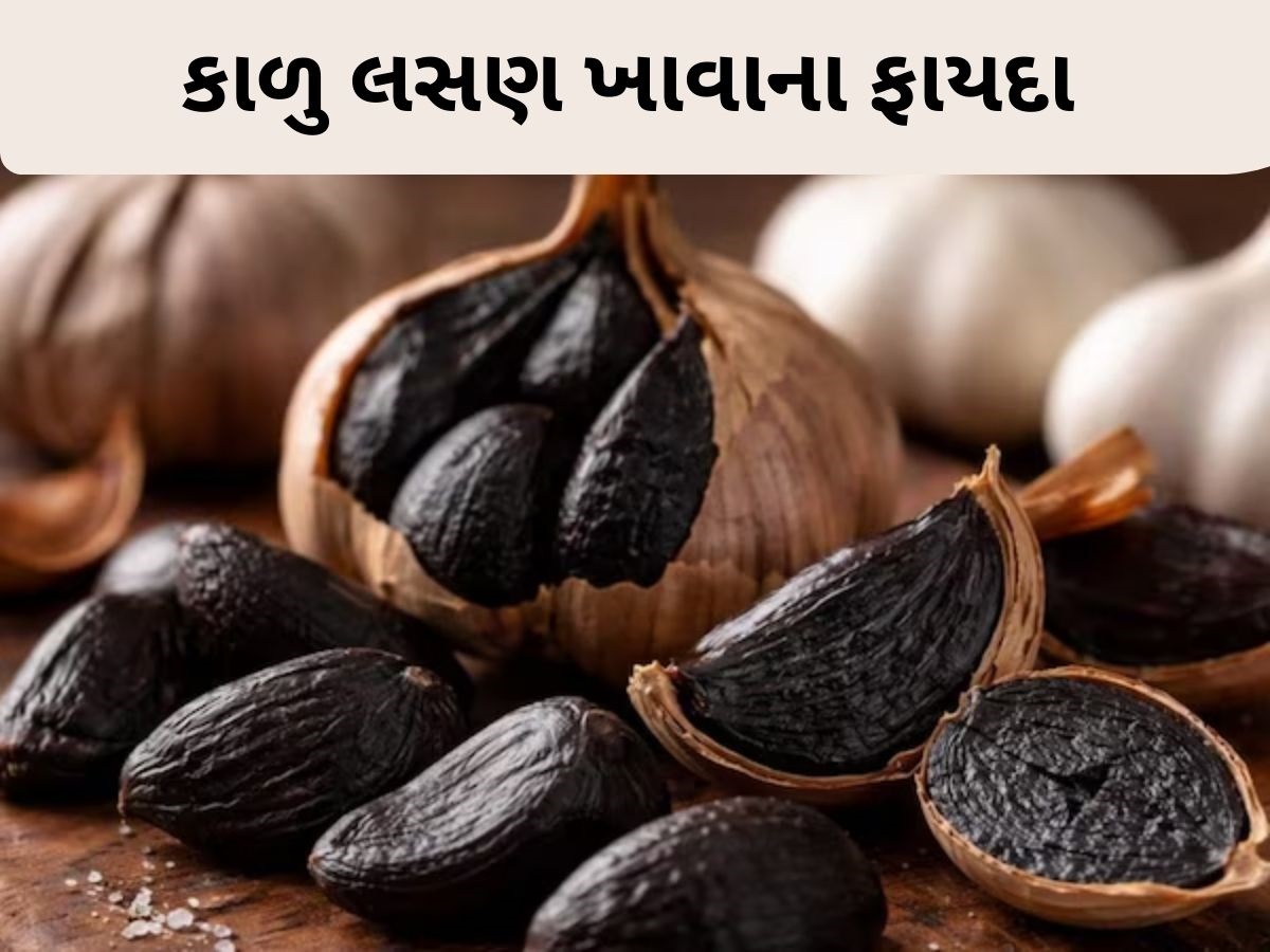 કાળા લસણથી કંટ્રોલ થઈ શકે છે BP, જાણો કઈ રીતે કરશો તેનું સેવન કાળા લસણથી કંટ્રોલ થઈ શકે છે BP, જાણો કઈ રીતે કરશો તેનું સેવન