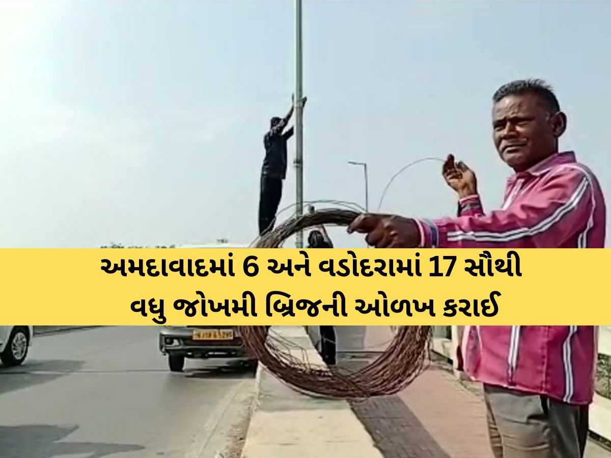 ઘાતક દોરાથી બચવા અમદાવાદ-વડોદરા સજ્જ: આટલા બ્રિજ પર વાહનચાલકોની સુરક્ષા માટે 'તાર'નું કવચ ઘાતક દોરાથી બચવા અમદાવાદ-વડોદરા સજ્જ: આટલા બ્રિજ પર વાહનચાલકોની સુરક્ષા માટે 'તાર'નું કવચ