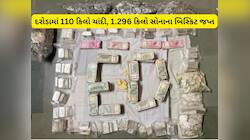 અમદાવાદમાં ED ની રેડ: શેરબજારના નામે છેતરનાર પિન્ટુના ઘરથી કરોડોનું સોનું-ચાંદી મળ્ય