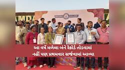 અમદાવાદ ફ્લાવર શોની વર્લ્ડ રેકોર્ડમાં હેટ્રિક: કઈ 2 આર્ટને મળ્યું રેકોર્ડમાં સ્થાન?