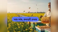 પાક એક, કમાણી ડબલ! ખેતીમાં ઉપજ વધારશે અને ખેડૂતોના ખિસ્સા ભરાશે