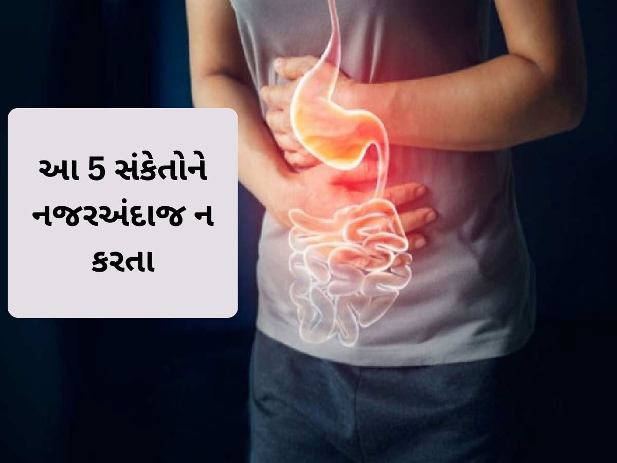 STOMACH CANCER: પેટમાં કેન્સરના 5 લક્ષણો, સમય રહેતા કરો ઓળખ તો બચી જશે જીવ STOMACH CANCER: પેટમાં કેન્સરના 5 લક્ષણો, સમય રહેતા કરો ઓળખ તો બચી જશે જીવ