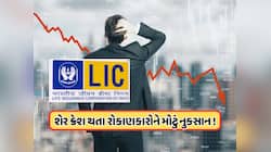 2 દિવસમાં LICના ડુબી ગયા 11460 કરોડ, આ કંપનીના કારણો રોકાણકારો પરેશાન, શેર 14% ઘટ્યો
