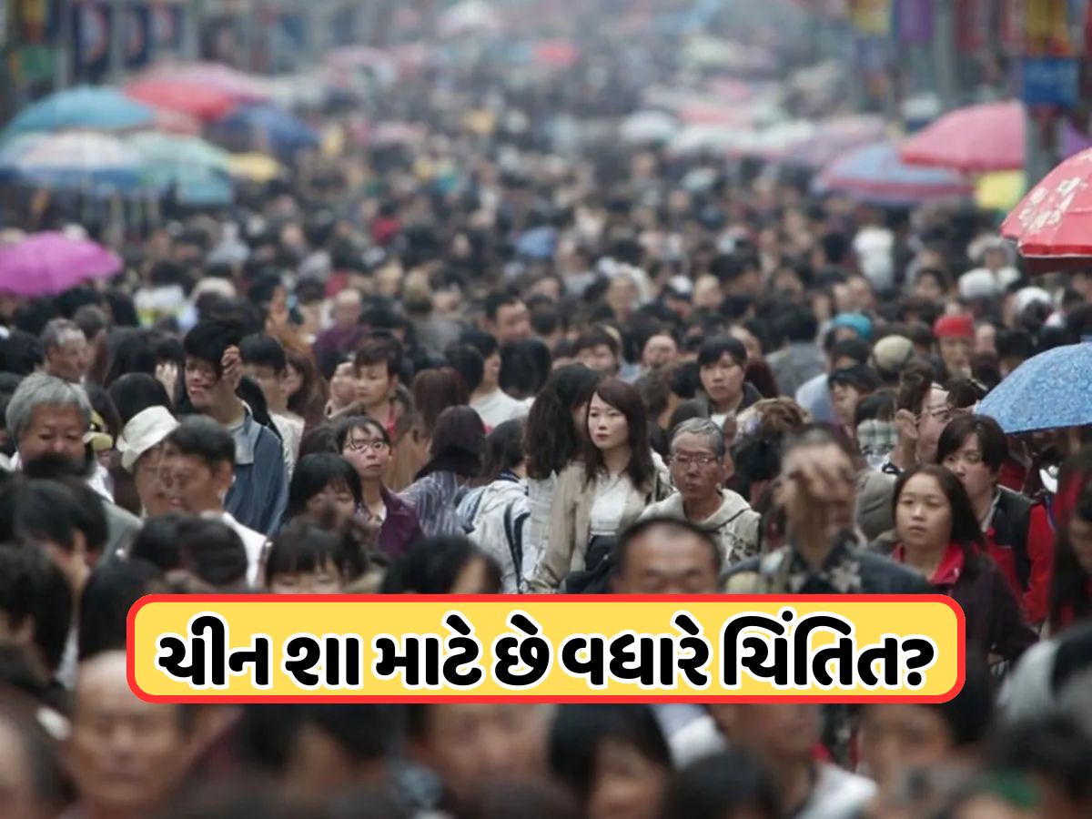 ચીનમાં મોંઘા થઈ ગયા કોન્ડોમ અને ગર્ભનિરોધક, લગાવવામાં આવ્યો ભારે ટેક્સ, સરકારને કેમ લેવો પડ્યો આ નિર્ણય ? ચીનમાં મોંઘા થઈ ગયા કોન્ડોમ અને ગર્ભનિરોધક, લગાવવામાં આવ્યો ભારે ટેક્સ, સરકારને કેમ લેવો પડ્યો આ નિર્ણય ?