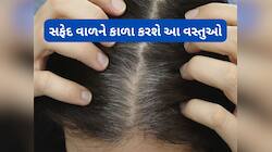 સફેદ થયેલા વાળ પણ કાળા થવા લાગશે, આહારમાં આ વસ્તુઓ સામેલ કરવાથી દેખાશે ફાયદો