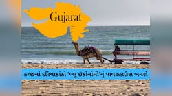 ગુજરાતનો દરિયો પણ દૂબઈ જેવો બનશે! બ્લ્યૂ ઈકોનોમીને વેગ આપવા સરકારનું મોટું આયોજન