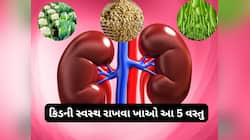 કિડનીને સ્વસ્થ રાખવા માટે રોજ ખાઓ આ 5 સુપરફૂડ, ડેમેજ થવાનું જોખમ નહીં રહે