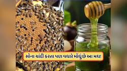 સોના-ચાંદી કરતાં મોંઘુ છે આ મધ, 1 કીલોનો ભાવ છે 1 કરોડ 80 લાખ, જાણો
