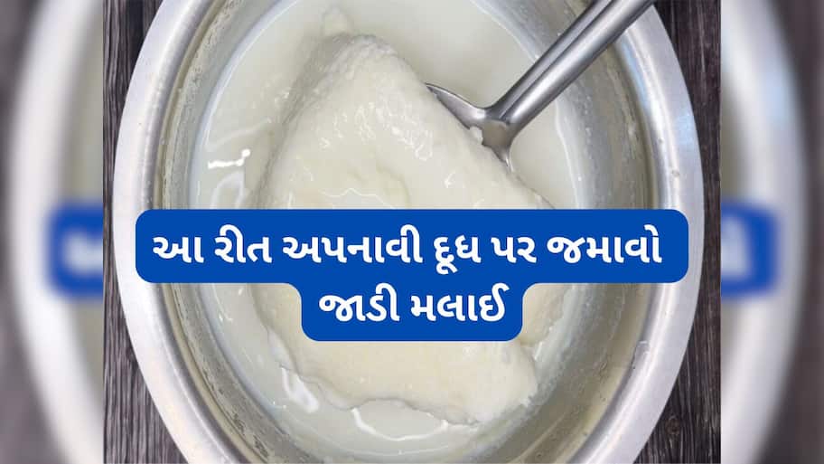 Thick Malai: દૂધમાં એકદમ જાડી મલાઈ જામશે, દૂધ ઉકાળો ત્યારે તેમાં ઉમેરી દેજો આ સફેદ દાણા, રોટલા જેવી જાડી મલાઈ થશે