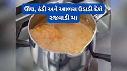 Rajwadi Chai: ઘરમાં બધા હોય ટી લવર તો જરૂર બનાવો રજવાડી ચા, એક ઘુંટડામાં ઉડી જશે ઊંઘ