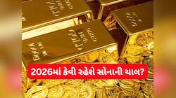 2025માં સોનાએ રોકાણકારોને બંપર 73.45% રિટર્ન આપ્યું, હવે 2026માં શું? 