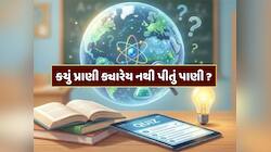GK Quiz : એવું કયું પ્રાણી છે, જે ક્યારેય નથી પીતું પાણી ? એક ક્લિકમાં જાણી લો જવાબ