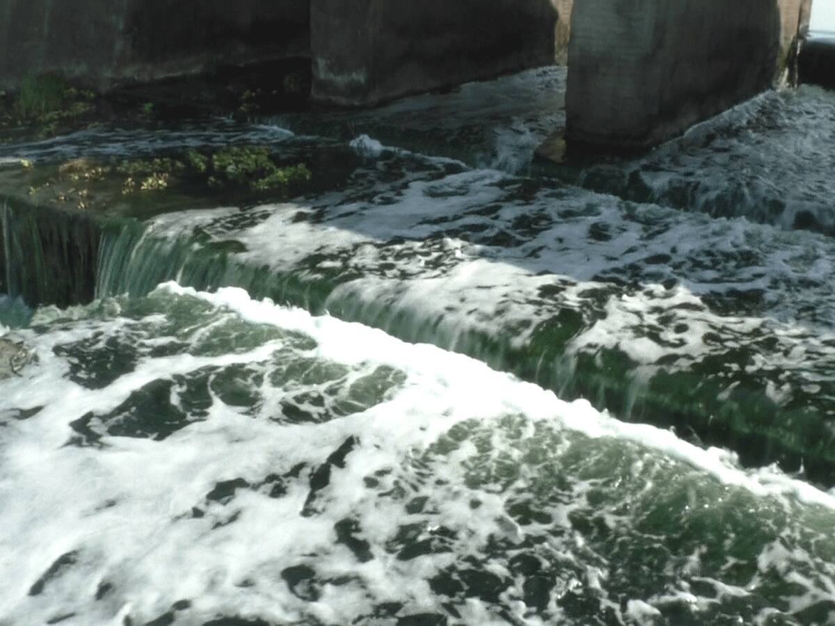 ભાદર તારા વહેતા પાણી... ગુજરાતની આ નદી કેમિકલનું કબ્રસ્તાન બની! કોણ ફેલાવે છે પ્રદૂષણ