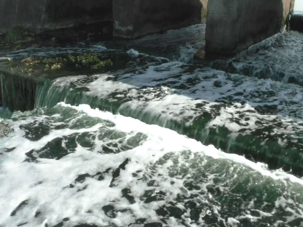 ભાદર તારા વહેતા પાણી... ગુજરાતની આ નદી કેમિકલનું કબ્રસ્તાન બની! કોણ ફેલાવે છે પ્રદૂષણ