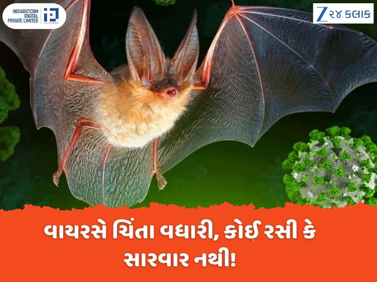 કોરોના બાદ આ વાયરસે ચિંતા વધારી, 120 લોકોને ઘરમાં આઈસોલેટ કરાયા, વાયરસની કોઈ રસી-સારવાર નથી