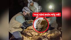 સાઉદીની ગુફાઓમાંથી મળ્યો 1800 વર્ષ જૂના ચીત્તાના અવશેષો, તપાસમાં ચોંકાવનારો ખુલાસો