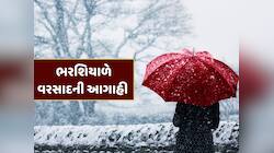 ઠંડી વચ્ચે હવામાન વિભાગની મોટી આગાહી, આજથી 3 દિવસ સુધી આ વિસ્તારોમાં પડશે વરસાદ