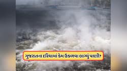 દરિયામાં ઉકળતું પાણી અને ઉપર આવતા પરપોટા ! ગુજરાત પર આવી રહી છે કોઈ મોટી મુસીબત ?