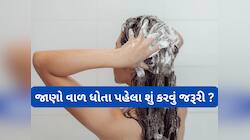Hair Wash Tips: શેમ્પૂ કરતાં પહેલા આ કામ કરજો, વાળ ખરવાનું પ્રમાણ 70 ટકા ઓછું થઈ જશે
